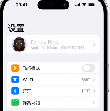 港口appleID维修服务iPhone设置中Apple ID显示为灰色无法使用