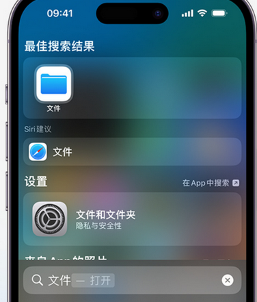 港口apple维修中心分享iPhone文件应用中存储和找到下载文件 