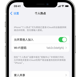 港口apple服务站点分享iPhone上个人热点丢失了怎么办 