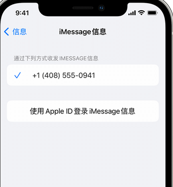 港口apple维修iPhone上无法正常发送iMessage信息 