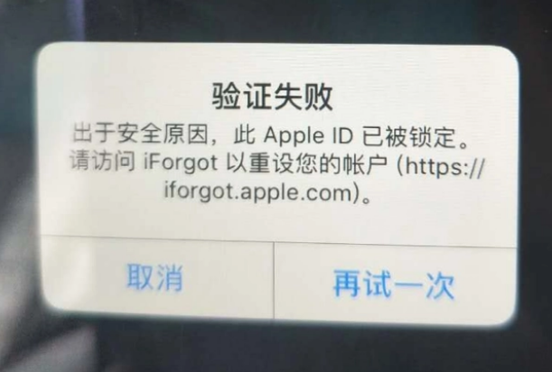 港口iPhone维修分享iPhone上正常登录或使用AppleID怎么办 