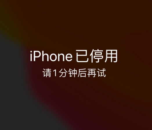 港口苹果手机维修分享:iPhone 显示“不可用”或“已停用”怎么办？还能保留数据吗？ 