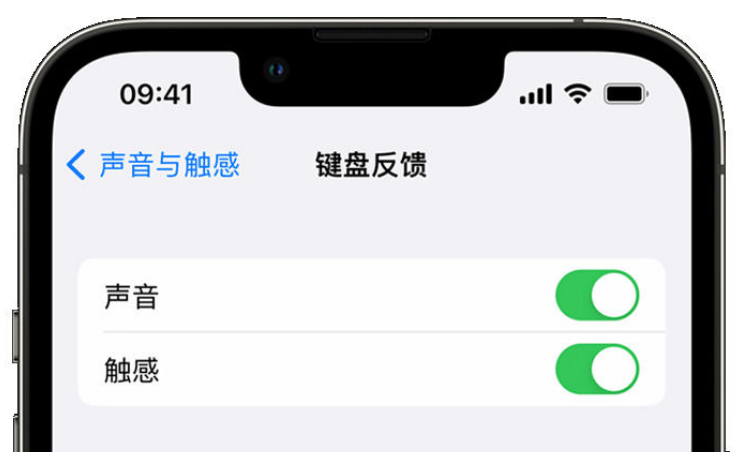 港口苹果手机维修分享iPhone 14触感键盘使用方法 