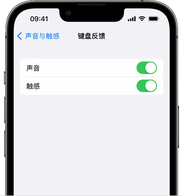 港口苹果14维修店分享如何在 iPhone 14 机型中使用触感键盘 