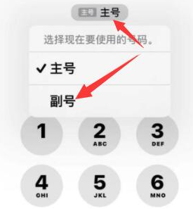 港口苹果14维修店分享iPhone 14 Pro Max使用副卡打电话的方法 