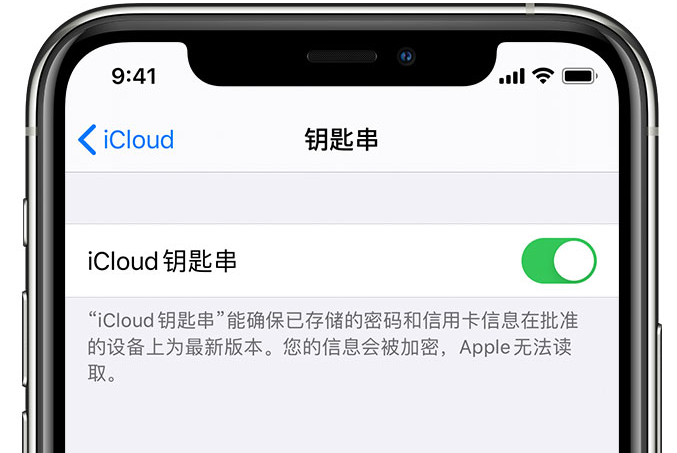 港口苹果手机维修分享在 iPhone 上开启 iCloud 钥匙串之后会储存哪些信息 