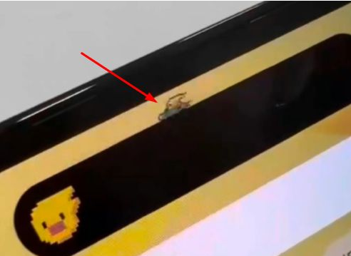 港口苹果14维修分享iPhone 14 Pro Max灵动岛怎么养宠物 