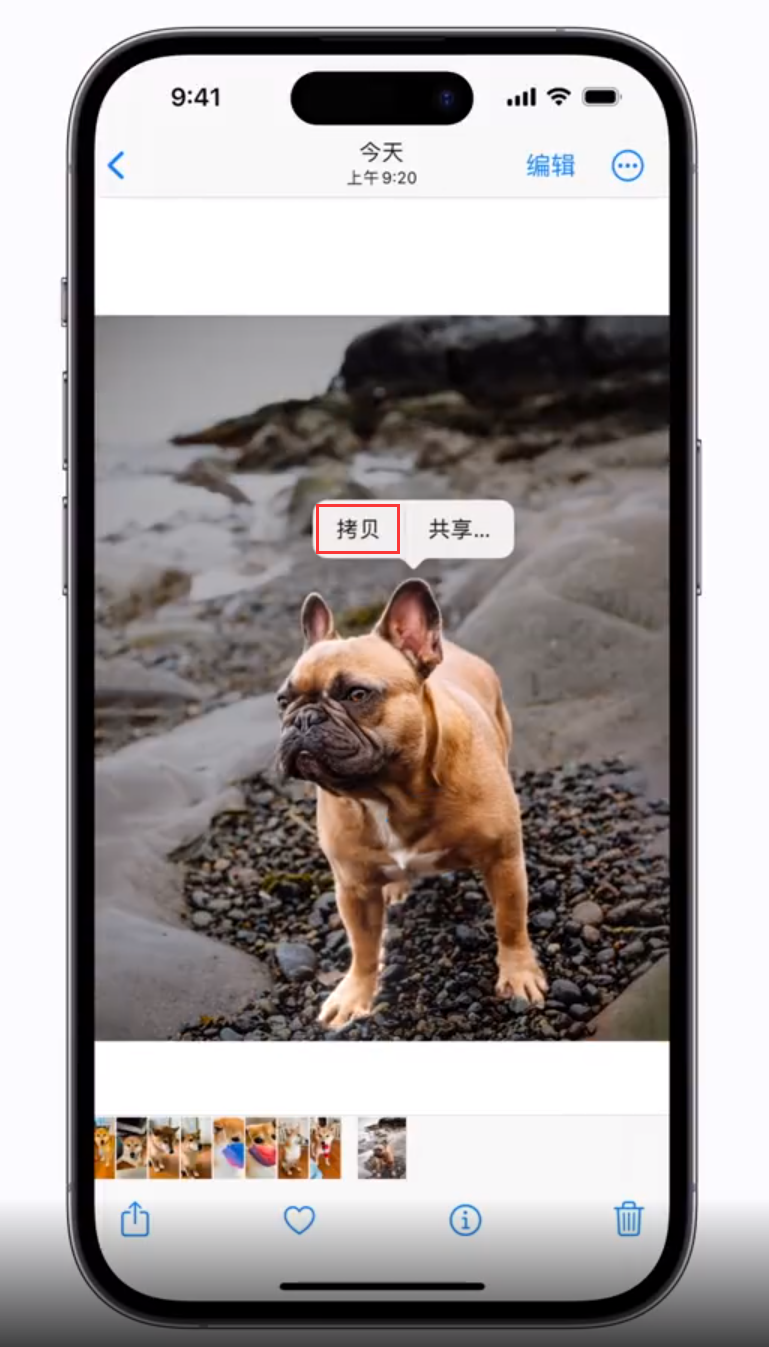 港口苹果手机维修分享 iOS 16 自带一键抠图功能 