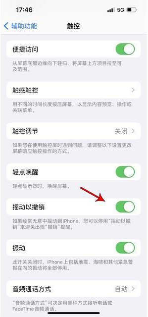 港口苹果手机维修分享iPhone手机如何设置摇一摇删除文字 