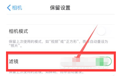 港口苹果13维修分享iPhone13拍照有绿点是怎么回事 