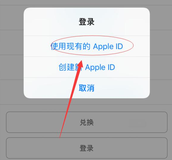 港口苹果手机维修分享两台iPhone设备可以同时登录一个Apple ID吗 