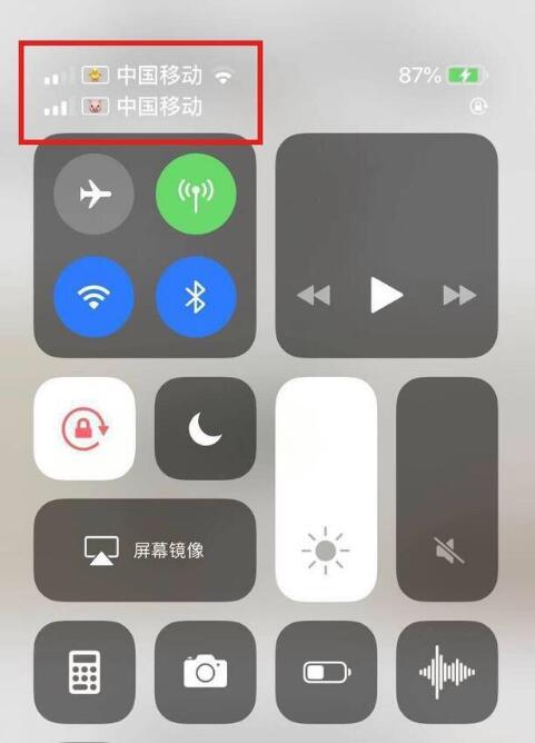 港口苹果手机维修分享为 iPhone 12 双卡设置标签 